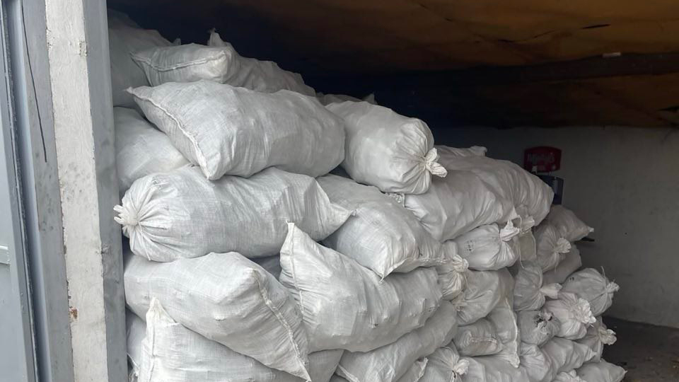 Warmth for people and animals in a Dnipro shelter